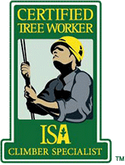 ISA Certified Tree Worker Climber Specialist - RS Trädvård - Arborist, beskärning, Avesta, Sala, Hedemora