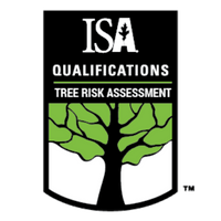ISA TRAQ (tree risk assessment) - RS Trädvård - Arborist, trädfällning, beskärning, Avesta, Sala, Norberg, Hedemora, Horndal