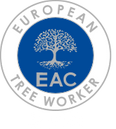 ETW - European Tree Worker - RS Trädvård - Arborist, trädfällning, beskärning, Avesta, Sala, Norberg, Hedemora, Horndal